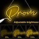 LED Prom Sign 20.08 x 10.43 Inches Acrylic Prom Light up Sign Graduation Party Decoration Neon Graduation Grad Prom Sign Letter Backdrop