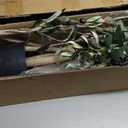 Artificial Olive Tree, 5ft Tall Fake Olive Leaves Plant with Basket, Indoor Outdoor Faux Olive Topiary Silk Tree for Home Livingroom Office House Dcor