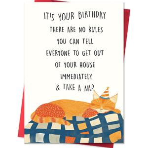 3 x IDU Cat Birthday Card,Funny Birthday Cards Gifts Decorations for Women Men Her Him Dad Mom Wife Husband Daughter Son Friend Sister Brother Coworker Bestie or Anyone