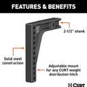 Curt Manufacturing 17132 Weight Distribution Hitch Replacement Shank (fits 2-1/2" Receiver, 8" Drop)