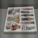 Soaoo 12 Pcs Nativity Sets for Christmas Indoor,7 Inch The Life Christmas Nativity Scene Figures Jesus,Stable,Palm Tree and Chests Tabletop Decor Gifts