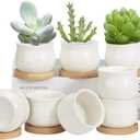 ZOUTOG 12 Pack Succulent Pots, 2.6 Inch Mini Ceramic Pots for Flower or Cactus Plants with Drainage Hole,Plants Not Included