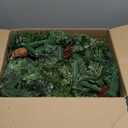 AMERZEST 9Ft Pre-lit Christmas Garland with 50 LED Lights Battery Operated,Holiday Decoration Stairs Wall Mantle Door Indoor Outdoor (Green)