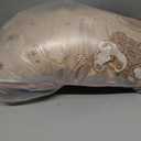 cushioned floor pillow featuring a beautifully textured beige jacquard weave