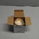 12 Pack 3.2 Inch Gold Stainless Steel Dipping Bowls  Small Bowls for Dips, Soy Sauce, Condiments, Appetizers, Facial Bowl for Esthetician Use