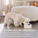 Marble Pet Bowl  Luxury Stone Dog or Cat Bowl, Crema Marfil Marble, Heavyweight & Non-Slip, Handcrafted Elevated Food or Water Dish for Small Pets (Ibiza)