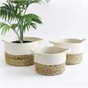 Oval Water Hyacinth Basket 3Pcs