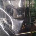 Kingsyard Mesh Caged Bird Feeders for Outdoor Hanging, Tube Squirrel Proof Bird Feeders with Tray for Small Birds Finches Bluebird, Rain Proof Covered, 4 Feeding Ports, Black