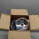 Hamilton Beach Food Processor & Vegetable Chopper for Slicing, Shredding, Mincing, and Puree, 10 Cups + Easy Clean Bowl Scraper, Black and Stainless Steel (70730)