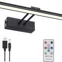 FUNCHDAY Picture Light,Battery Art Lights for Wall,Wireless Remote Painting Light with Timer and Dimmable,13Metal Display Lighting for Artwork,Portrait,Gallery-Black