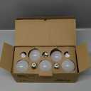 LED lamp, bulb, A19, 14 W, daylight, 10 pcs, box