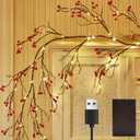 Fudios Lighted Red Berry Garland with Timer 120 LED 6FT Battery Operated USB Plug in,Lit Christmas Garlands Lights for Home Mantle Inside