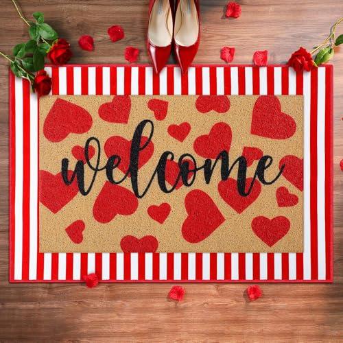 Tinideya 2 Pcs Door Mat Welcome Non Slip Coir Mats Floor Layering Doormats Seasonal for Front Porch Entryway Decor(Heart)