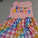 Easter Blessing Dog Dres Size Large
