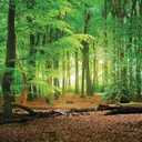 SJOLOON 10X8ft Spring Green Forest Thin Vinyl Photo Backdrops Camping Themed Baby Shower Photography Background Studio Props 10516