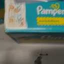 Pampers Swaddlers Diapers, Size 1 (8-14 lbs), 96 Count, Absorbent, Keeps Baby Dry and Comfortable, Skin Safe Disposable Baby Diaper 