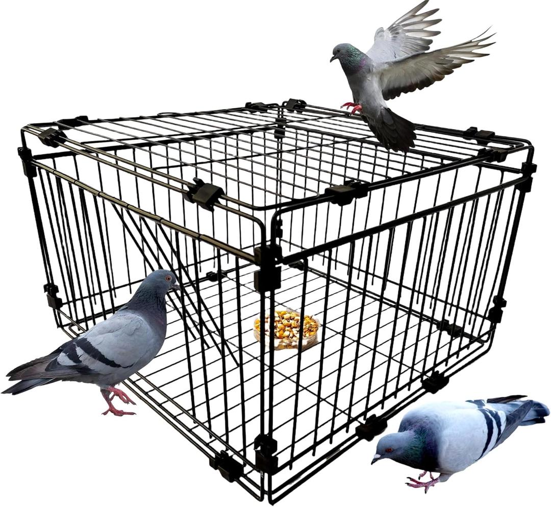 Bird Trap Cage Pigeon Quail Chicken Outdoor Trapping Live Small Bird Trap, 23.6"L*15.7"W*10"H