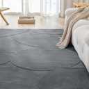Amazon Basics Indoor Area Rugs, Soft-Touch Washable Home Decor Carpet for Living Room Bedroom, 6' L × 4' W, Curve Dark Grey
