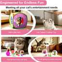 Retro Shaw Cat Toys Pack 33Pcs, Interactive Kitten Toys for Indoor Kittens Cats, Collapsible Kitty Play Tunnel Tent Feather Wand Balls Bell Springs Mouse Kitty Toys for All Breeds 15.7 Inches