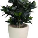 Elly Dcor 23 inch Planter for Garden with Drainage, Large Round, Lightweight & Extremely Durable, Deck Indoor/Outdoor Plastic Pot, 23.6" x 21.6"x14, Sand Beige