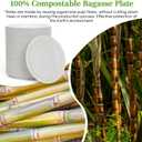 ECOLipak 6 Inch Disposable Compostable Small Paper Plates, 200 Pack Recycled Sugarcane Bagasse Biodegradable Heavy Duty Mini Dinner Appetizer Cake Dessert Plates for Party(White)