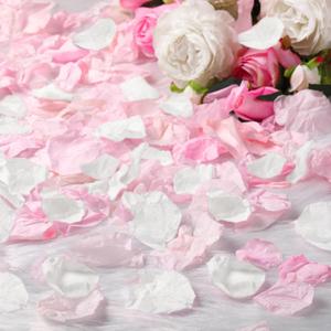 200 Pcs Real Dried Rose Petals for Wedding Flower to Throw, 100g Natural Preserved Rose Flower for Wedding Party Proposal Centerpieces(White, Pink)