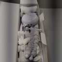 The Peanutshell Crib Mobile for Girls or Boys - Soft Grey Musical Baby Crib Mobile with 12 Lullabies, Cute Elephant Baby Grey Elephant Nursery Decor (Digital Grey Elephant)