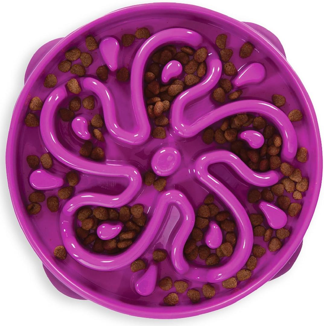 Outward Hound Fun Feeder Slo Bowl  Large 4Cup Capacity, Slow Feeding, Medium to Large Dogs, NonSlip, Purple, Flower Pattern