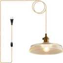 Plug in Pendant Light,9.1 Inch Glass Lampshade 14Ft Hanging Lights with Plug in Cord On/Off Switches Industrial Pendant Lights with Plug in Cord for Bedroom