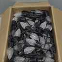 Brightown Accessory C9 LED Christmas Lights, 16Ft Outdoor String Lights with 25 LED Strawberry Plastic Bulbs, Without Plug, Extension Cord, 2 Pack