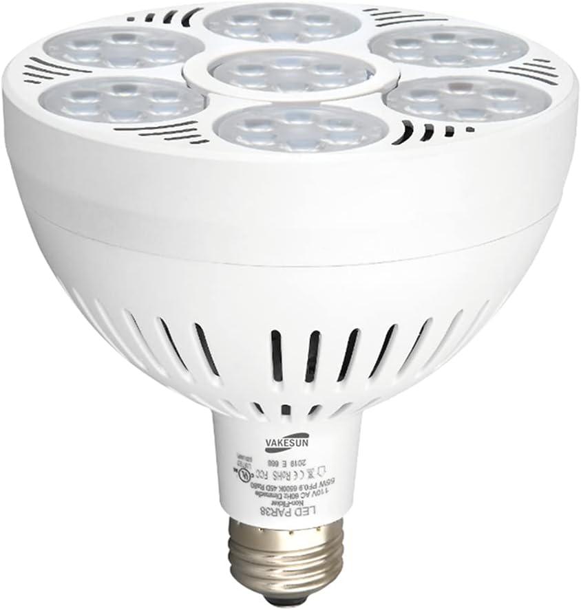 LED PAR38 Spotlight High Lumen 10000K 45 Cool White Lighting Bulb