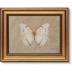 VIYYIEA Vintage Gold Framed Wall Art for Living Room, White Butterfly Canvas Prints Home Decor, Oil Painting Picture, Bedroom Wall Decor Gifts for Friends or Family -Morpho polyphemus-(10L x 8W)