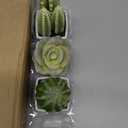 Nattol Artificial Mini Succulent & Cactus Plants in White Cube-Shaped Pots for Home Decor, Set of 4