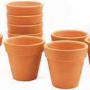 GoldBlue Pack of 10 Terracotta Pots - 3 Inch Terra Cotta Pots with Drainage Holes for Small Craft, Nursery, Cactus, Succulent, Flower Plants