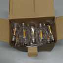 VISTERLITE E12/C7 Base LED Replacement Bulbs for ST38 Outdoor String Lights - Not Solar, Vinatge 1W LED Shatterproof Bulb, Warm White 2200K, 25 Pack