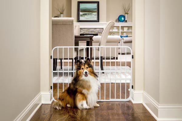 Carlson Pet Products Tuffy Expandable Dog Gate with Pet Door 33 x 24 