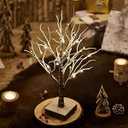 Hairui Lighted Tabletop Artificial Small Tree Snow Dusted 24 LED 18IN Battery Operated with Timer Indoor Use for Halloween Christmas Tree Decoration