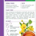 6 x Traditional Medicinals Organic Smooth Move Peppermint Laxative Tea, 16 Tea Bags (Pack of 1) (EXP 02/28/29)