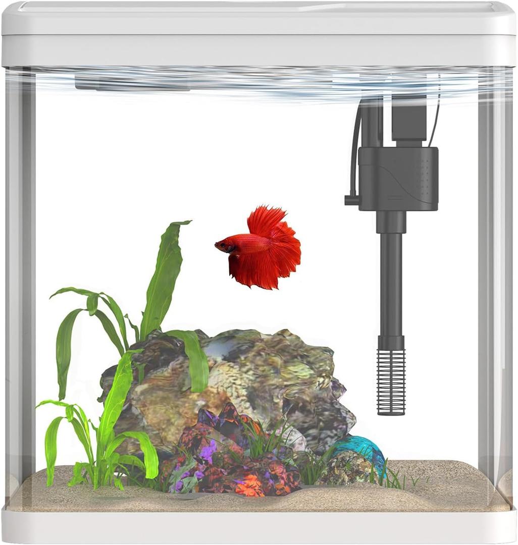 2 Gallon Glass Betta Fish TankSmall Fish Tank with Filter and Light,Self-Cleaning Fish Tank.