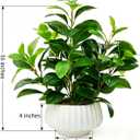 Artificial Peperomia Plant 16.5 Tall Lifelike Faux Greenery in 6 White Ribbed Ceramic Pot Realistic Indoor Fake Branches for Home Office Desk Shelf Bathroom Bedroom Farmhouse Decor