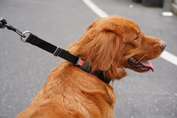 Dog Collar, Martingale No Pull Collar , Black, Hidden Design, 20 inches, Adjustable