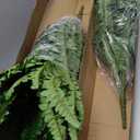 45" Fake Ferns, Realistic Large Artificial Bush Plants, 2 Artificial Boston Ferns with 59 Fronds for Outdoors Planter Indoor Home Garden Porch Decor (Green)