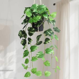 alyptus Fake Pothos Hanging Plants - Artificial Hanging Plant with Pot Realistic Faux Pothos Vines for Indoor Dcor, Lush Greenery for Balcony Patio Office, Bathroom - Golden Green