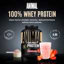 Animal 100% Whey Protein Powder Whey Blend for Pre or Post Workout, Recovery, Anytime Low Sugar Protein Boost Meal Replacement with BCAA Branched Chain Amino Acids New Flavor, Strawberry, 4 lb, EXP date: 02/2028