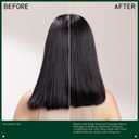 Aveda Scalp Solutions Stimulating Scalp Massager | Exfoliates, Stimulates Scalp Micro-Circulation | for All Hair Types