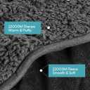 Cottonblue Sherpa Fleece Weighted Blanket 15lbs for Twin/Full Ded - Plush Bed Blanket for Deep Sleep and Relaxation, Heavy Calm Blankets with Glass Beads, 48x72 Inches, Black