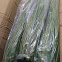 6 Pack 4 ft Tall Artificial Grass Plant Fake Pampas Grass in Pot Large Faux Floor Plants Potted Artificial Greenery for Indoor Outdoor Garden Home Bathroom Office Room Housewarming Wedding Decoration