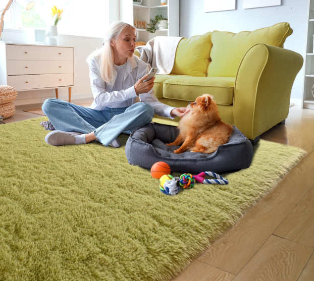 Cozy Winter Area Rug 5x8,Ultra Soft ‌Plush Shaggy Rug Non Slip for Living Room/Bedroom,Kid/Pet Friendly,Modern Home Decor Carpet,Tie-Dye Spinach Green