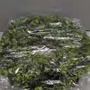 28In Large Boxwoods Door Wreaths for Front Door Spring Summer Outside All Season Green Year Round Artificial Greenery Wreath for Wall Window Rustic Farmhouse Home Outdoor Indoor Decorations