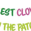 2 x St. Patrick's Day Decoration - The Cutest Clovers in the Patch Banner, St Patricks Day Classroom Decorations, March Bulletin Board Decorations